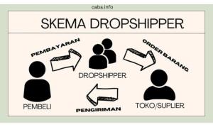 Strategi Dropship Produk Unik: Peluang dan Risiko